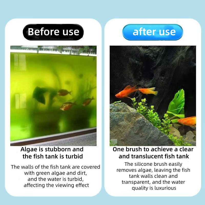 Telescopic Aquarium Algae Scra - Algae Scraper Blade review and price