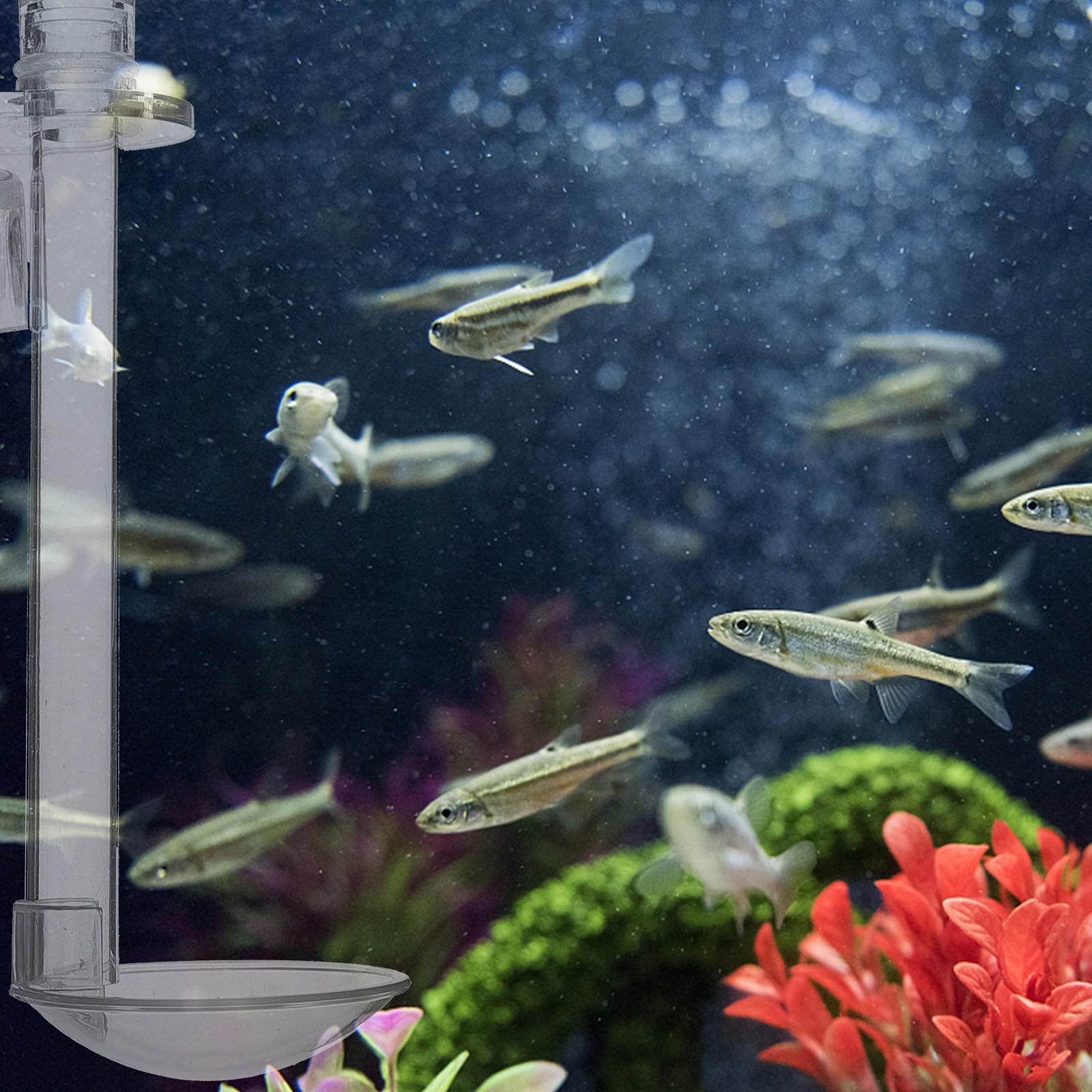 1Set Aquarium Shrimp Feeder Tu - Aquarium Fish And Supplies review and price