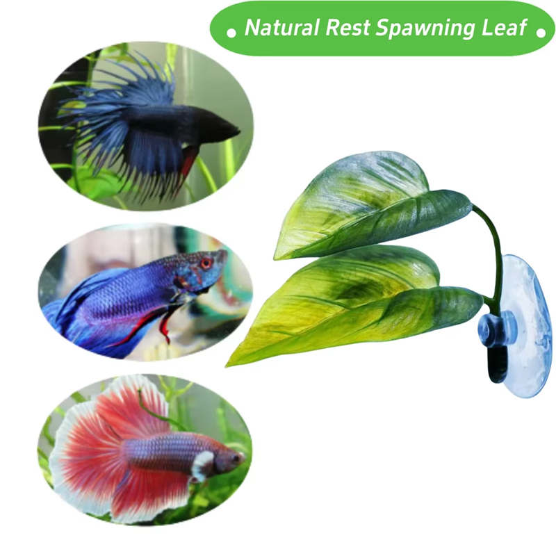 Aquarium Pet Supplies Decorati - Aquarium Fish And Supplies review and price