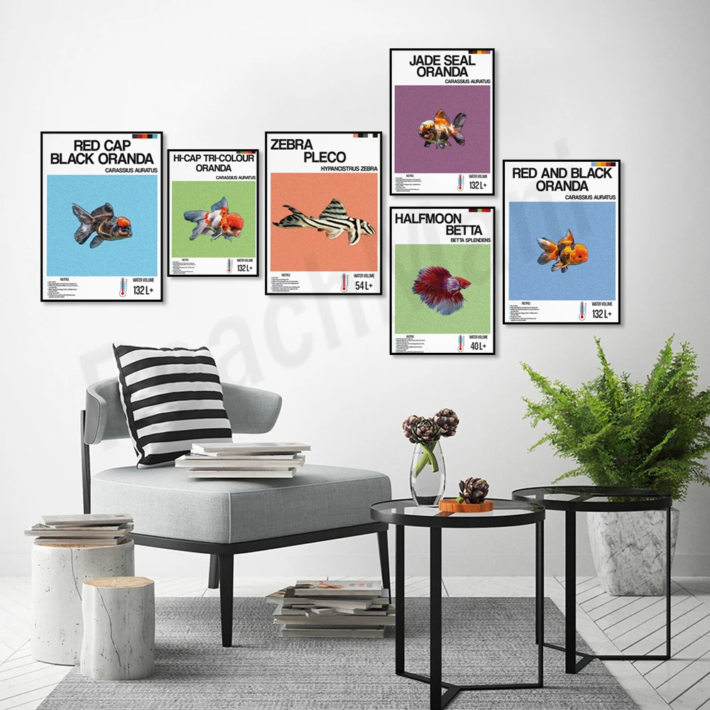 Fish information print, orname - Aquarium Fish Zebra review and price