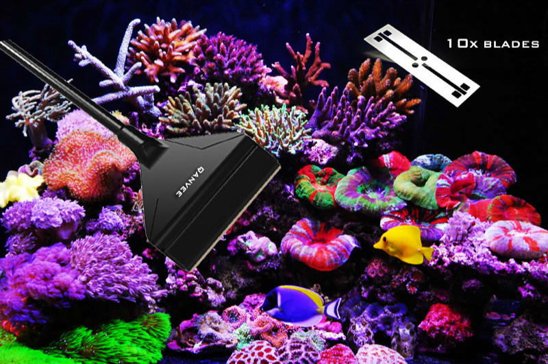 QANVEE Aluminium Magnesium All - Algae Scraper Blade review and price