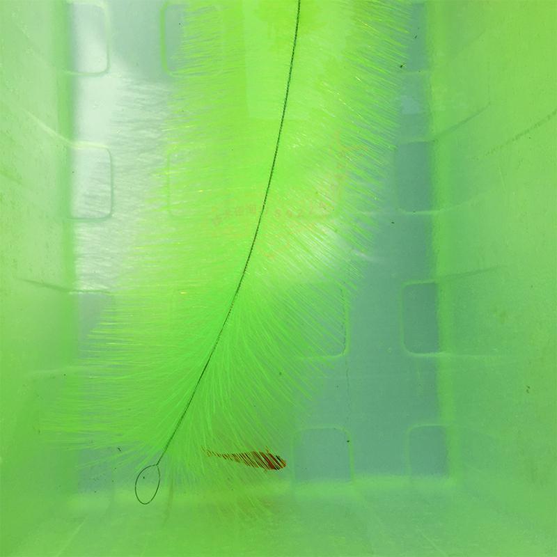Breeding Grass for Koi Fish Eg - Aquarium Fish And Supplies review and price