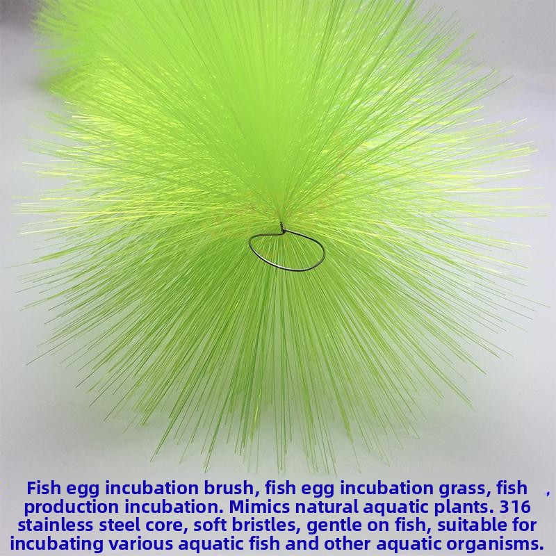 Breeding Grass for Koi Fish Eg - Aquarium Fish And Supplies review and price