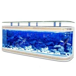 C Z Large Custom Glass Clear L - Aquarium Fish Big review and price