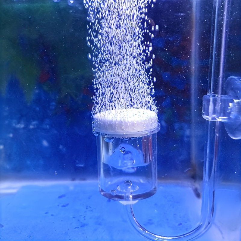 Aquarium Glass CO2 Atomizer Di - Aquarium Fish Quarantine review and price