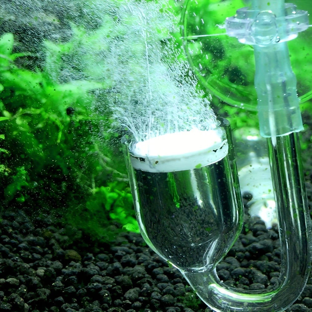 Aquarium Glass CO2 Atomizer Di - Aquarium Fish Quarantine review and price