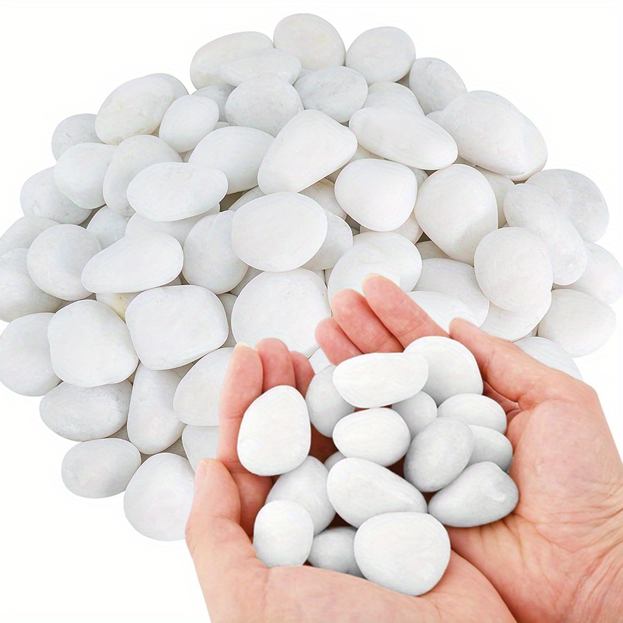 200/400g White High Polished N - Aquarium Fish Land review and price