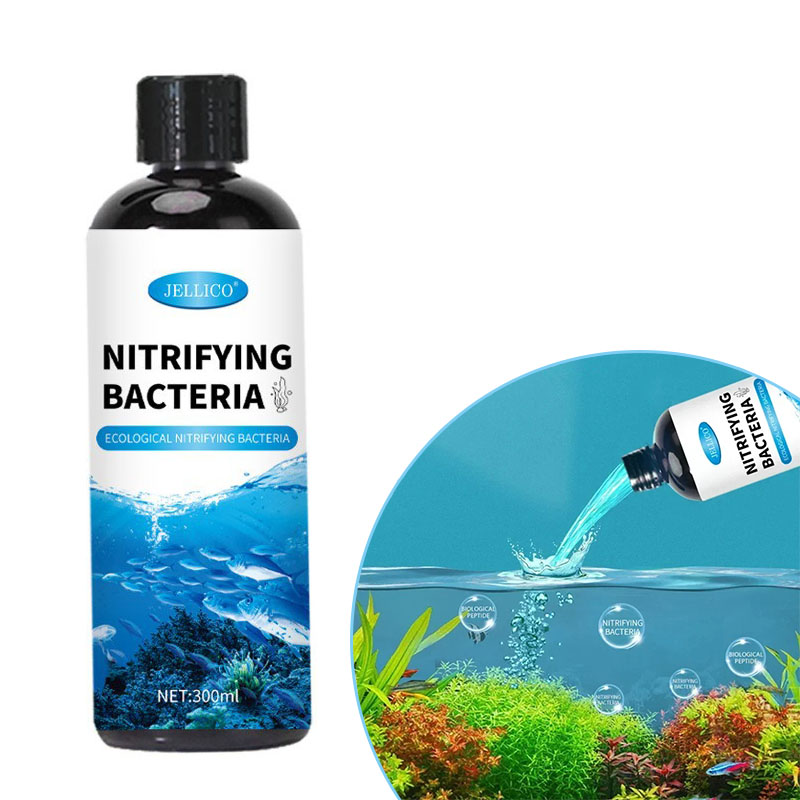 Nitrifying Bacteria Liquid Fis - Aquarium Fish And Supplies review and price