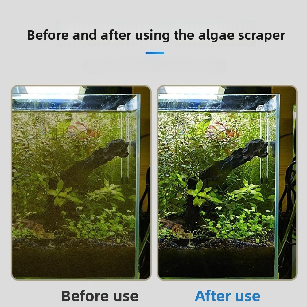 Dual Purpose Aquarium Algae Sc - Algae Scraper Blade review and price