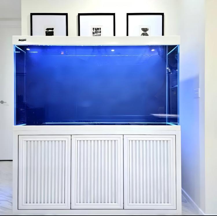 Big Size Aquarium Fish Tank La - Aquarium Fish Big review and price